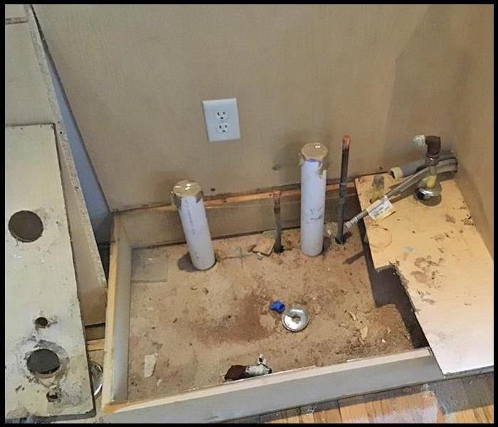 Mold discovered under kitchen cabinet sink